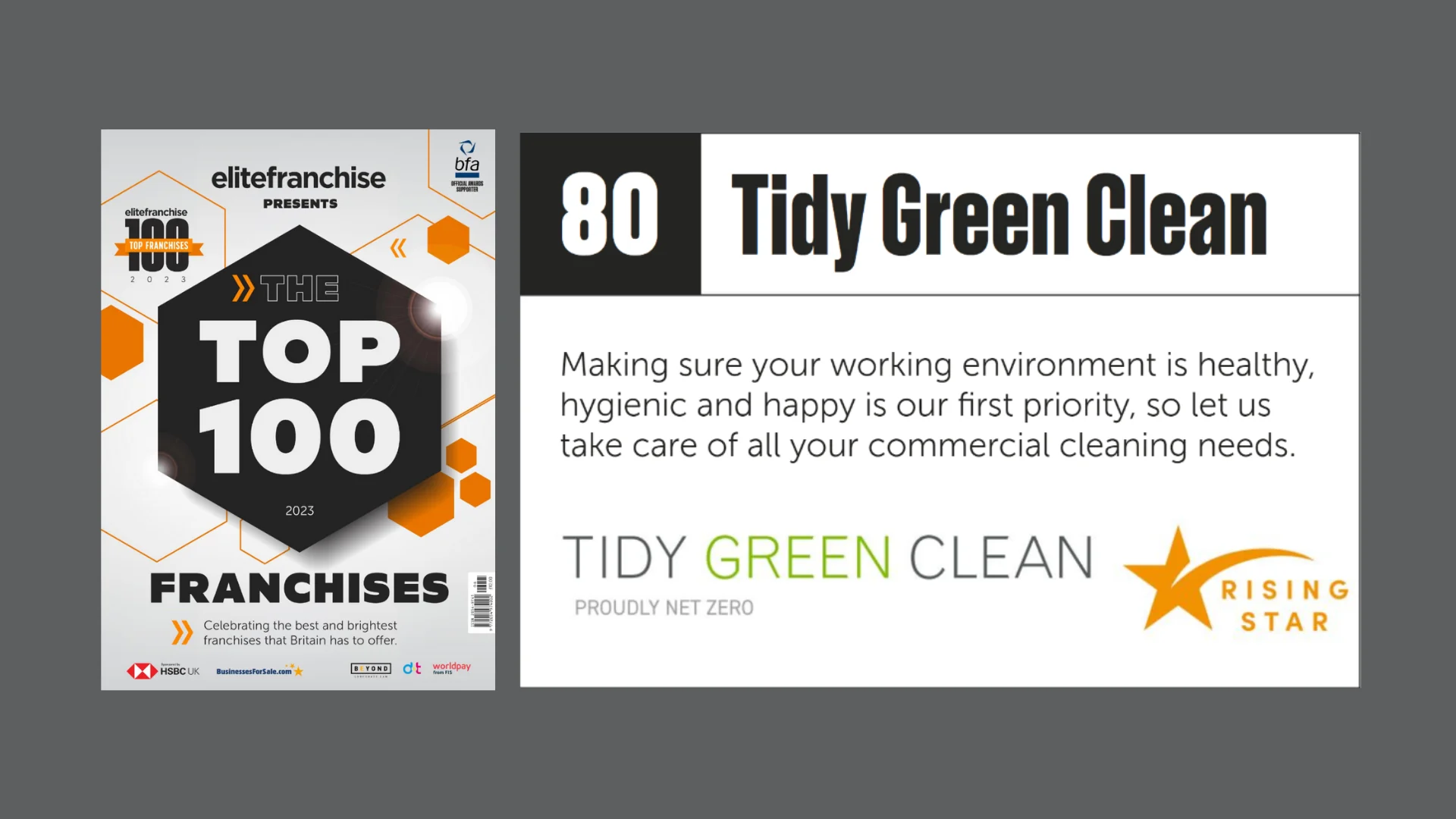 the top 100 franchise of tidy green clean